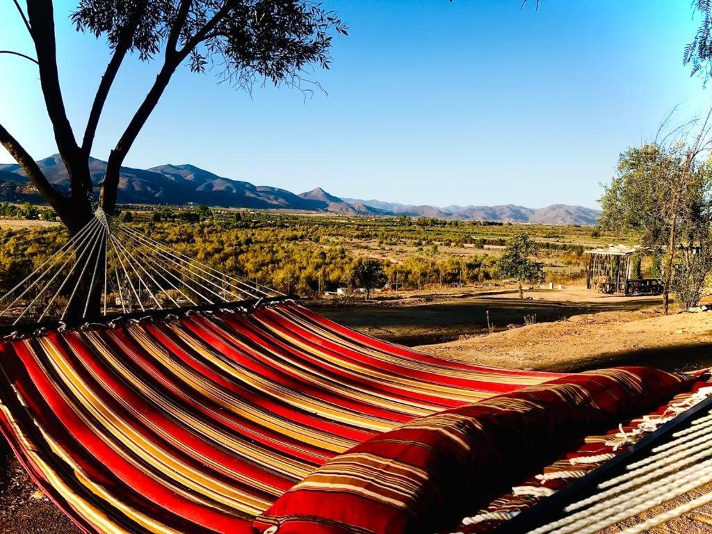 Terra Monarca Villa Valle de Guadalupe Exterior foto